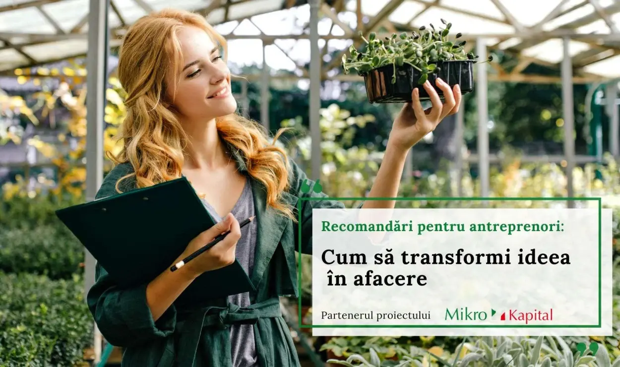 Recomandări pentru antreprenori. Cum să transformi ideia în afacere.